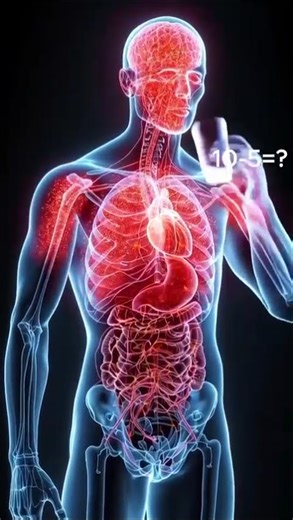 Drink Alchol in side the Human Body 🥃| 3D Medical Animation #shorts #health #usa