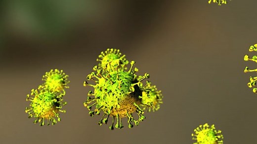 Covid 19 Animation, Virus Animation, Covid Virus. Free Stock Video