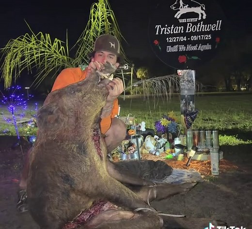 Paul's Tree Service: Quality Care for Your Trees