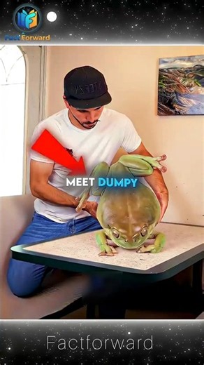 Dumpy the Giant Frog 🐸✨