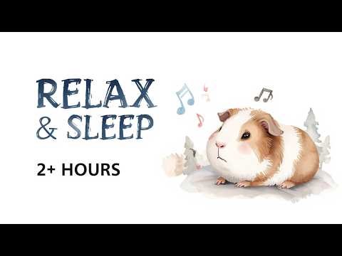 Over 2 Hours of Soothing Harp & Forest Sounds for Guinea Pigs 🌿 | Watch Them Relax & Yawn