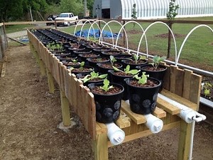 Hybrid Rain Gutter Grow System Step by Step Final Ep