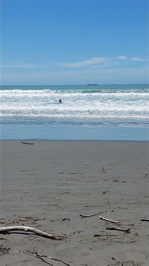 #2556. Sumner Beach swim. #newzealand