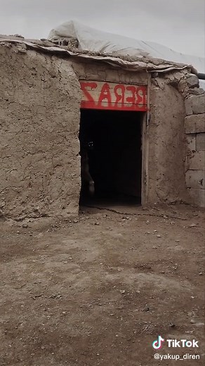 #beraz🔥 #kangal58 #😱#kangal_tr #kangalvideo