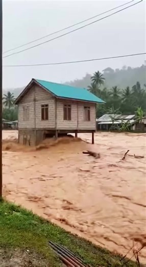 #flood#flashflood#badweather#naturedisaster#scarymoments @Nature @Nature @Nature @YunPu @oceanlife-fishing