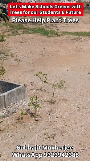 4.3K views · 255 reactions | Please help us in raising funds for this important project to plant 3000 trees in this is cool at Kaman, Vasai. You can contact me for details. | Mission Green Mumbai | Facebook