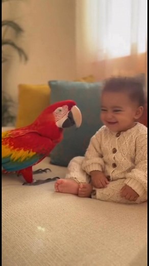 This adorable parrot just found a new best friend! 💖 Watch how the baby giggles while the parrot “talks” and copies every sound — pure happiness! 🦜👶✨ A perfect dose of cuteness to brighten your day! 🌈🥰 #TalkingParrot #FunnyParrot #BabyAndParrot #CuteAnimals #ParrotVideo #AnimalComedy #BabyLaughter #BirdTok #ParrotLovers #ViralAnimalVideo #ChirpyTok | Beyond Mick