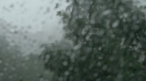 Summer rainstorm outside, view through the window