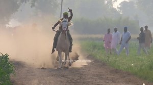 264K views · 6K reactions |  LIVE HORSE RACING - BARUNDI (Ludhiana) -TRACK LENGTH -470m / March'23 #horseracing PART -2 shift -2 | Marwari Horse Lovers | Facebook