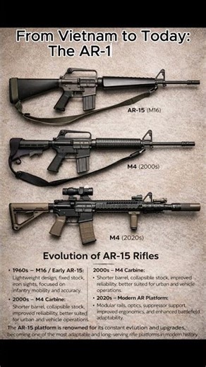 AR-15: Power, Precision, Customization