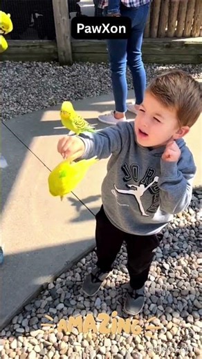 Cutest Zoo Moments That Will Melt Your Heart 🐼💖| Zoo |#shorts #viral #cuteanimals #animalsmoment