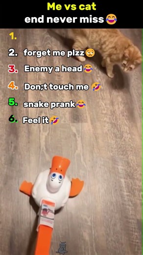 I Tried Pranking My Cat... Bad Idea! 😹#cats #cat #funnycats #catprank #catlover #viral #fyp