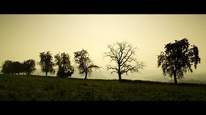 E.T.A. Hoffmanns Der Sandmann