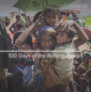 220K views · 1.6K shares | In just 100 days more than 600,000 people have fled violence in Myanmar to reach safety in Bangladesh. We look back at some key moments in this Rohingya crisis: https://trib.al/YCb8wgS | UNHCR, the UN Refugee Agency | Facebook