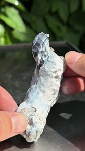 What’s inside this Ancient Coral? 🪸✨ #crystals #geology #fossils #coral #agate #minerals #quartz | CoralGeodes