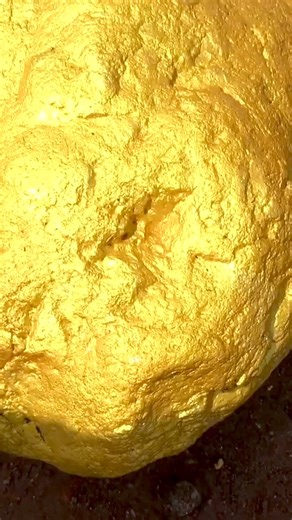 3.1M views · 69K reactions | Gold Rush Finding Treasure worth millions from Huge Nuggets of Gold gold panning, Mining Exciting #gold #prospect #prospecting #goldprospecting #goldmining #mining #nature #metal #precious | Metal Finder | Facebook