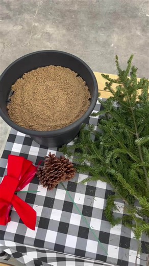 🎄✨ They’re sprucing up fast! ✨🎄 Our DIY Holiday Porch Pot Workshops at Warm Belly Farm (4311 Vilas Hope Rd, Cottage Grove) are almost full! 🌲 Grab your spot before the last few dates get trimmed away. Get your hands in the greens, sip something cozy, and craft a porch pot that even Santa would envy. 🎅🎁 📅 Limited spots left — don’t wait, or you’ll be left out in the cold (literally). 🎟️ Get your tickets here: https://warmbellyfarm.ticketspice.com/holiday-porch-pot-2025 Let’s make your porc