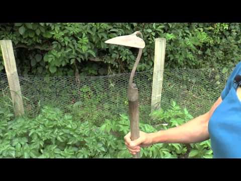 How to: Earth up potatoes