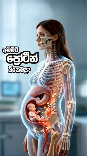 ගර්භණී සමයේදී ප්‍රෝටීන් අඩුවුණොත් මොකද වෙන්නේ? 🤰💪 | Protein in Pregnancy