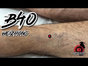 BL40 - Weizhong