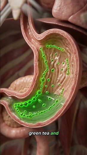 Green tea hits differently on an empty stomach 🍵#health #greentea #digestion #caffeine