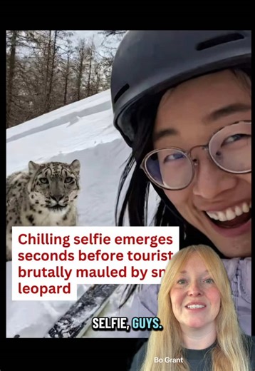 Snow Leopard Selfie Turns Dangerous: A Cautionary Tale