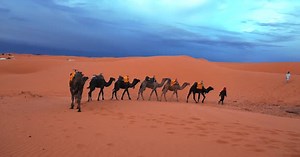 Bedouins in Traditional Dress Leading Camels Through the Sand in Desert