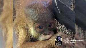 27K views · 972 reactions | Oh baby, baby! As 2023 ends, we’re...