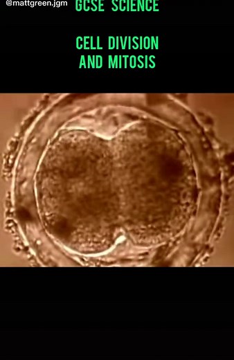 Matt Green on TikTok