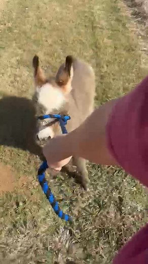 2.7K views | Donna Douglas on Reels | Facebook