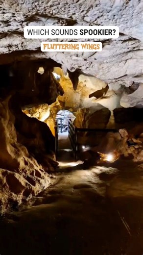 14 reactions | Which cave sound would spook you the most?  驪...
