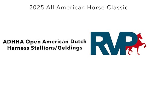 AAC25 - Class 99 - ADHHA Open American Dutch Harness Stallions-Geldings