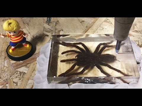 🕷️ Dissecting A Real Tarantula With A 60,000 PSI Waterjet Biology Lesson 🕷️ Interesting