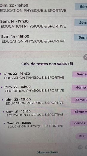 Flix Pronote sur TikTok