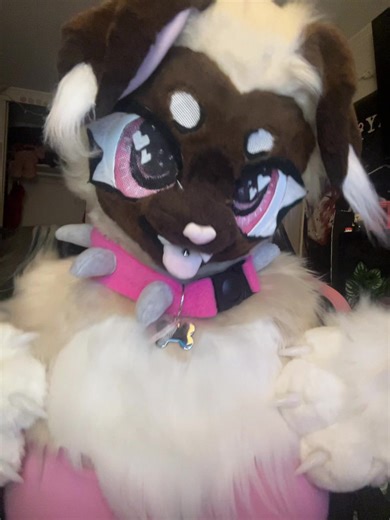 dumb_mutt_ (@dumb_mutt_)’s videos with original sound - jake