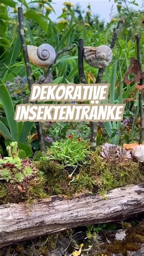Insect waterers and creative garden decorations at the same time 💚🌿🐝🦋
