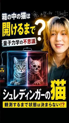 箱を開けるまで結果は決まっていない？シュレディンガーの猫を30秒で解説 #量子力学 #物理 #宇宙 #科学 #雑学 #シュレディンガーの猫 #Shorts