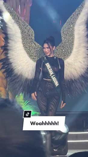 Exploring the Banog Bird: A Fascinating Look into a Native Philippine Species