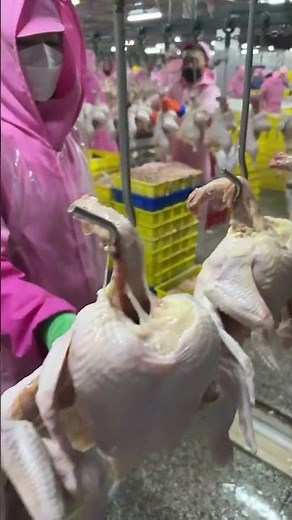 Inside a Chicken Processing Factory 🐔🏭 | How Chicken Is Really Prepared! #shortsviral