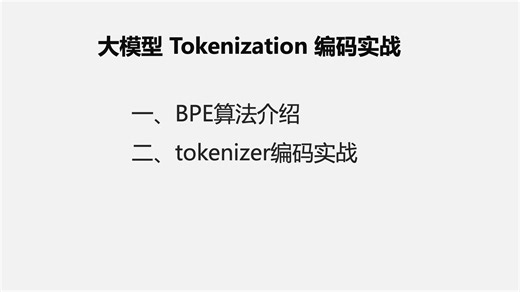 大模型 Tokenization 编码实战