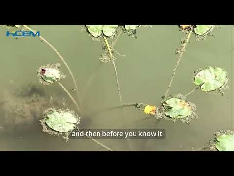 Why Aerate Your Pond? Benefits of Our Diffuser Aerator