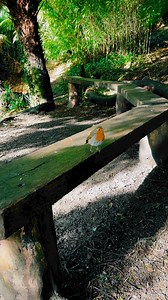 Signs from our loved ones ❤️🤍 | Chris Riley Psychic Medium