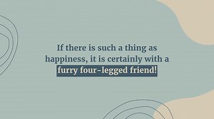 30 small dog breeds (with pictures!)