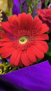  Want This Stunning Bouquet?  Make someone’s day unforgettable with our handcrafted floral masterpieces—fresh, vibrant, and delivered with love!  Flowers Zone – Sital Nivas / Kamaladi / Greenland  DM to order: 9851160395/ 9841591105/ 9843687102 | 9768724404 | Flower's zone | Facebook