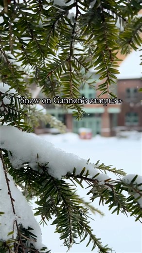 Snow place like Gannon ❤️💛❄️ #gannon #gannonu #gannonuniversity #gannonfamily #campus | Gannon University