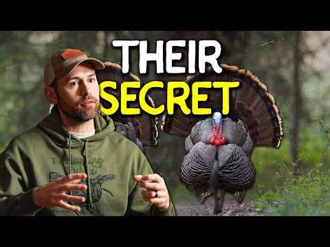How The Hunting Public Finds Turkeys Anywhere