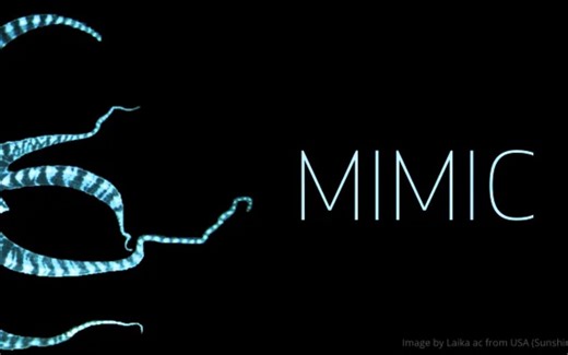 cephadm-podman容器化部署最新版ceph（octopus）