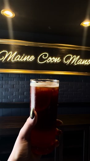 Explore Our Favorite Drinks with Rescue Kitties