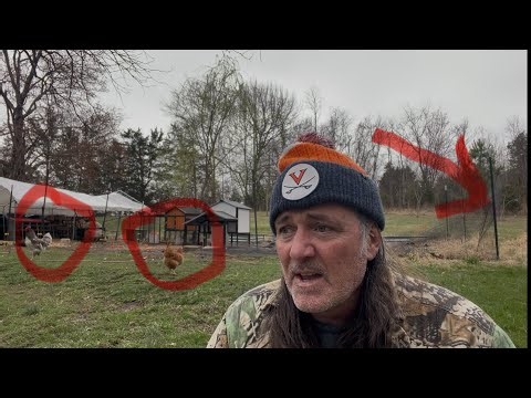 How Does He NOT Notice The Hideous Creature In The Background Getting Closer To Him And His Chickens