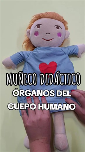 Muñeco Didáctico de Órganos del Cuerpo Humano